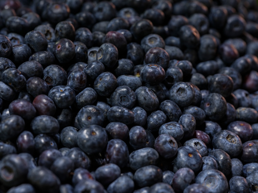 Nuestra misión editorial sobre nutrientes naturales